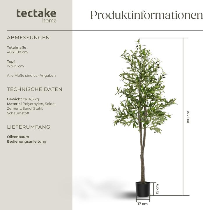 Image du produit tectake Olivenbaum Oleand (180 cm)