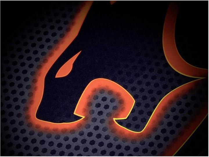 Image du produit Cougar Tapis de souris Arena Gaming (Large)