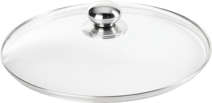 Homeware Professional Zubehoer (28 cm, Vetro)