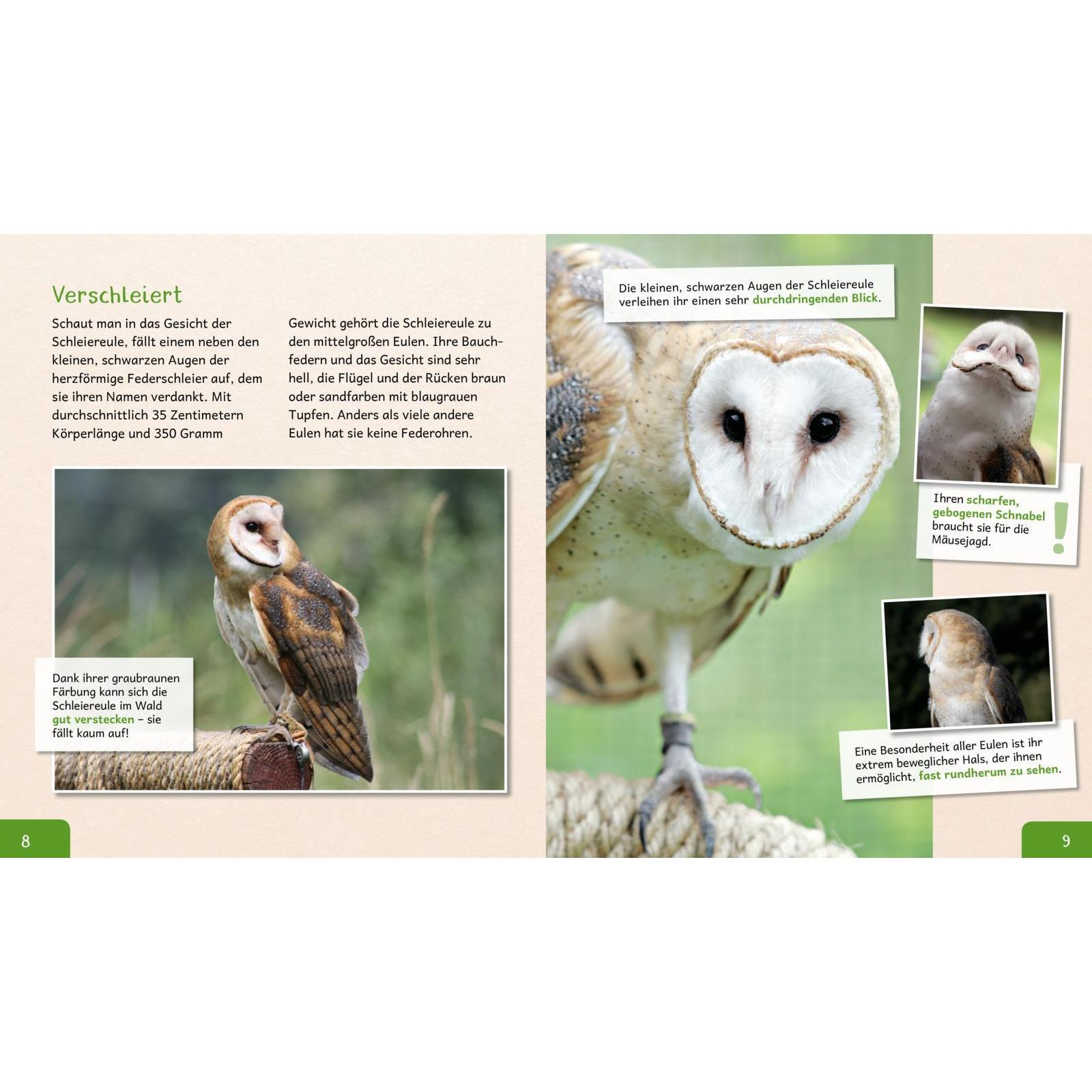 Thumbnail - Meine grosse Tierbibliothek: Die Eule, Kinderbücher von Dr. Jens Poschadel