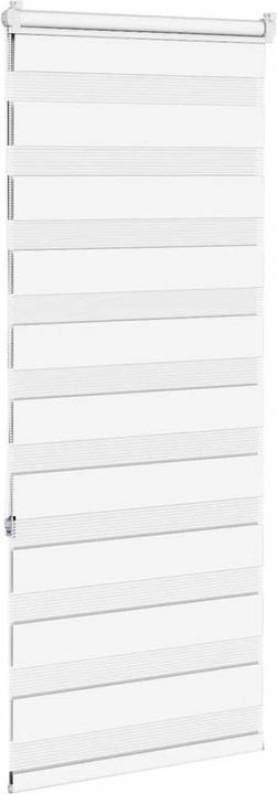 Produktbild vidaXL Zebra-Jalousie (65 x 150 cm)