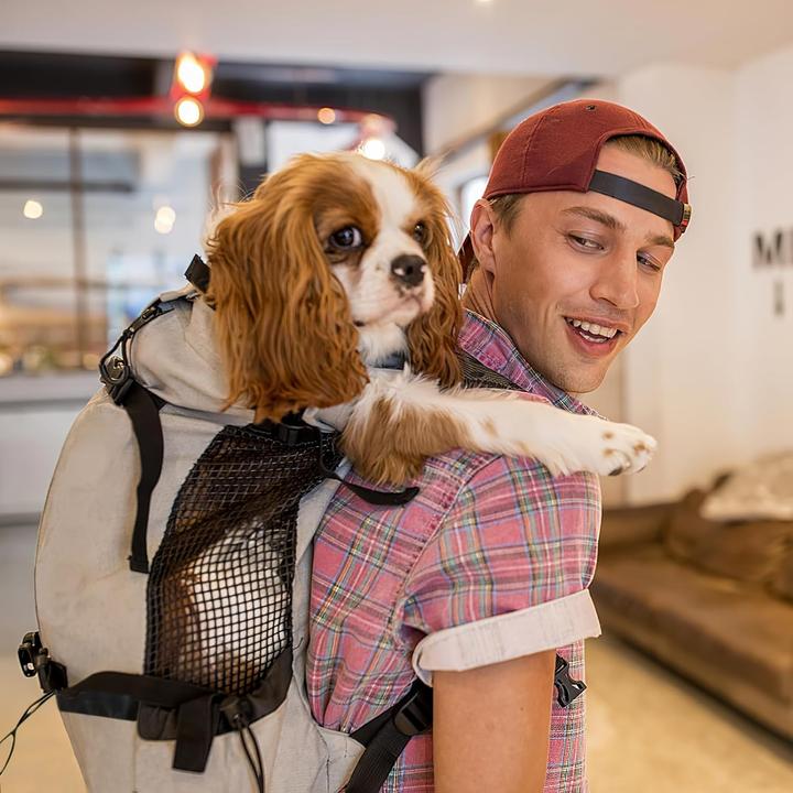 Immagine prodotto Galatée Zaino porta cani (Cane, Traspirante)