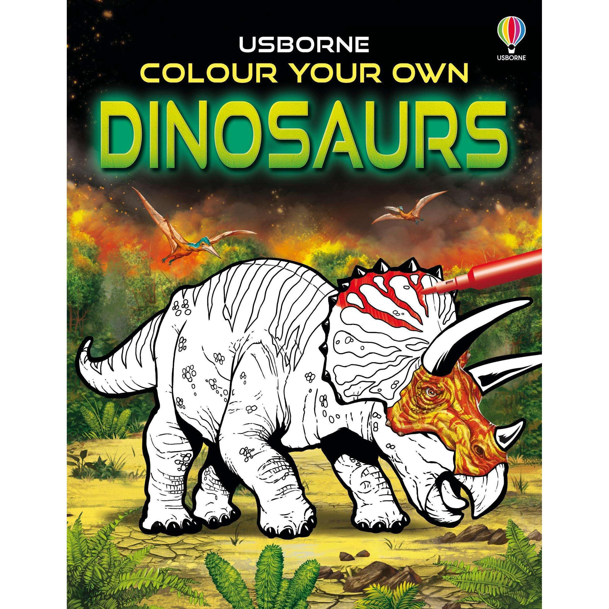 Tudhope:Colour Your Own Dinosauurs, Kinderbücher von Sam Smith, Gong Studios