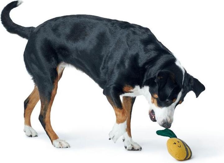 Immagine prodotto Hunter Gioco per cani Florence, Bumblebee - (69306) (Cane di peluche)