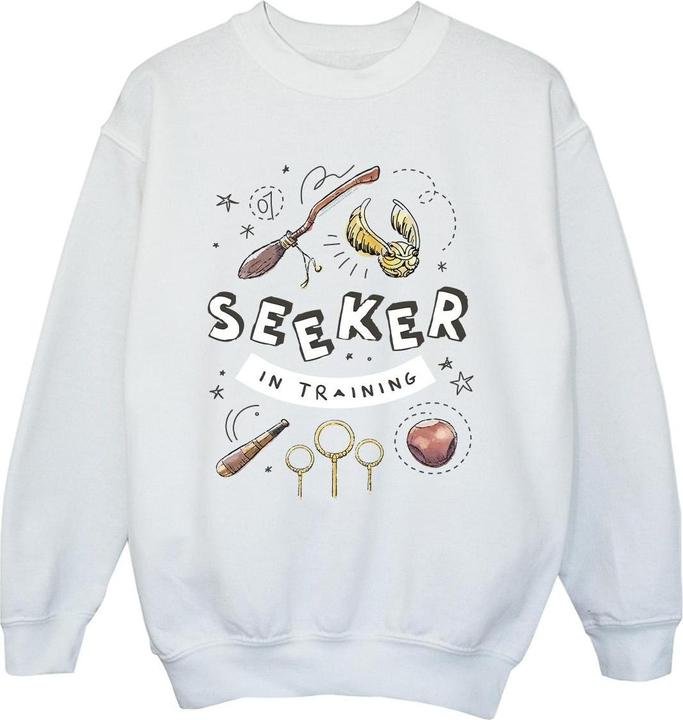 Image du produit - Sweat SEEKER IN TRAINING - Garçon (140, 146)