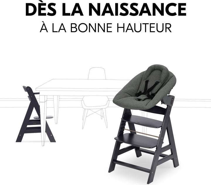 Actual product image Hauck Alpha Newborn Set Plus (Stair high chair)