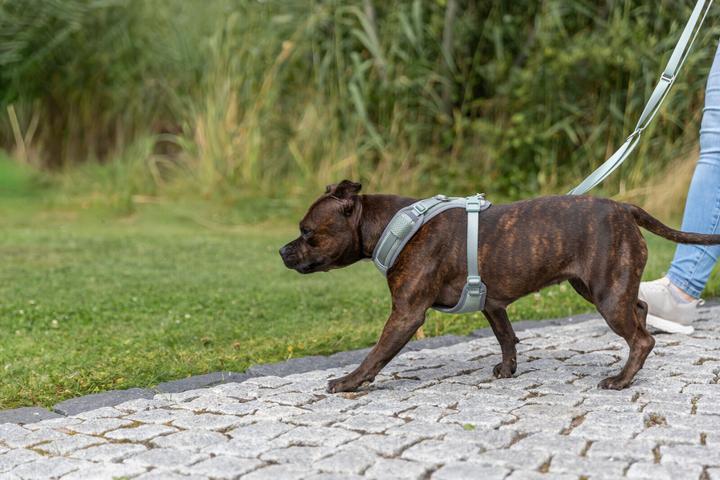 Image du produit Trixie Premium FlexMesh harness, wide fit,S–M:48–69cm/20mm,sage (M, S, Chien, Général)