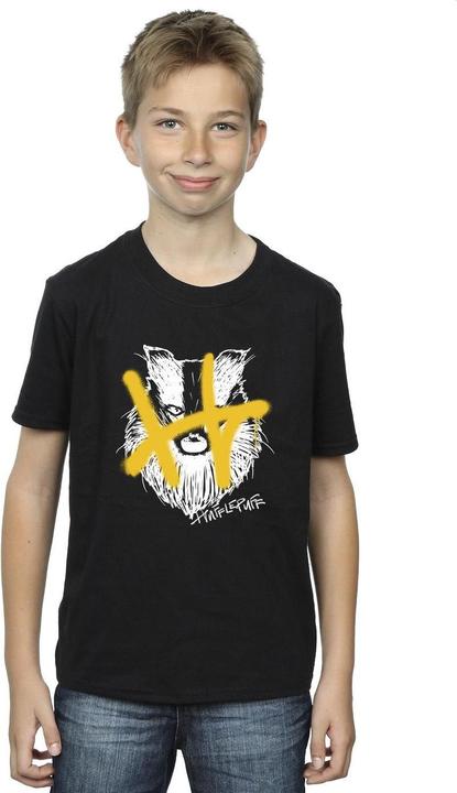 Produktbild Hufflepuff Pop Spray TShirt Jungen (140, 146)