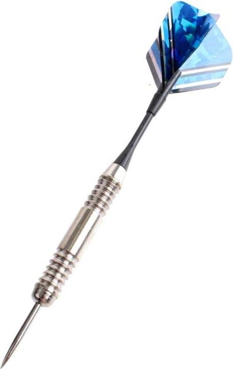 Image du produit Masterdarts Jeu de fléchettes avec étui (23 g)