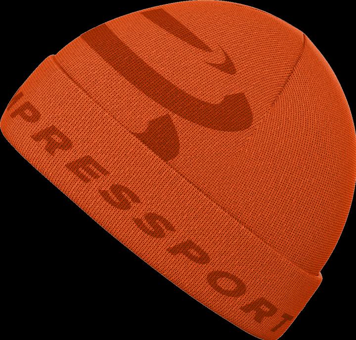 Actual product image Compressport Casual Beanie