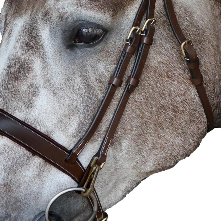 Produktbild PferdeKombihalfter Leder