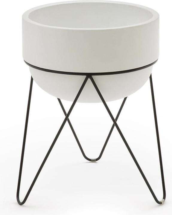 Produktbild AM.PM Plantae (40 x 25 cm)