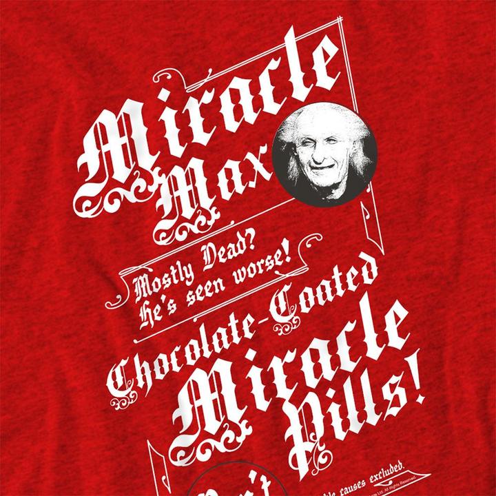 Produktbild The Princess Bride TShirt meliert (S)