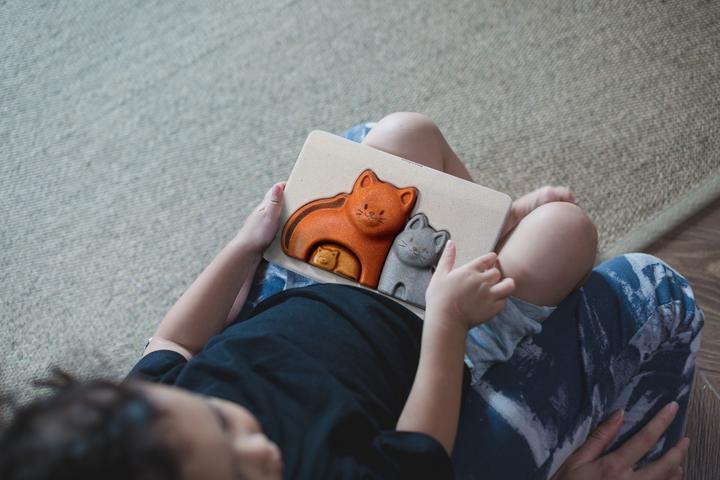 Produktbild Plantoys Katzen-Puzzle