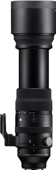 Produktbild Sigma 150-600 mm f/5-6.3 DG DN OS L-Mount (L-Mount, Vollformat)