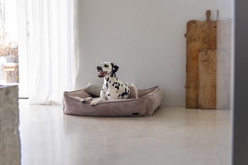 Immagine prodotto Designed by Lotte Divano letto a coste (Cane)