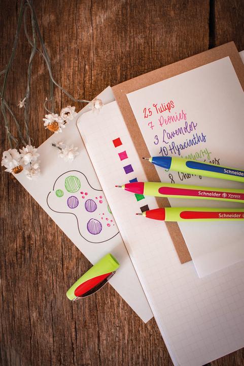 Image du produit Schneider Fineliner Xpress (Bleu, 1 x)