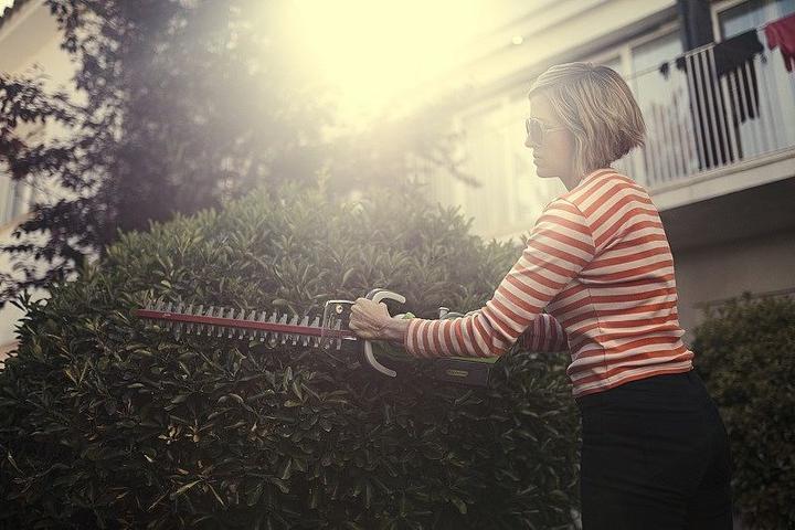 Productafbeelding Greenworks Snoerloze heggenschaar G24HT57, 57 cm (zonder accu en oplader) (Draadloze heggenschaar)