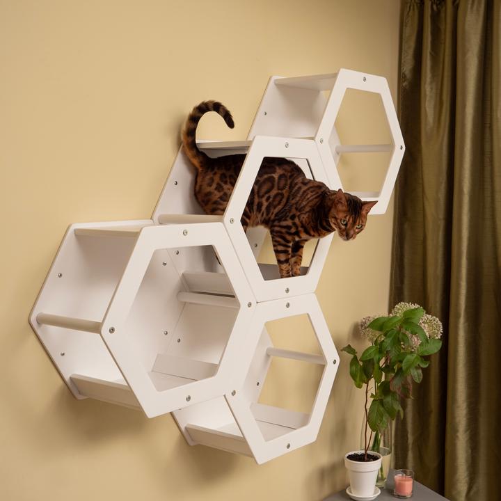 Produktbild Wowhelperco 4 Waben (Weiss)