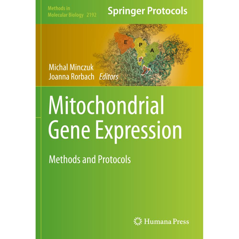 Mitochondrial Gene Expression, Fachbücher von Joanna Rorbach, Michal Minczuk