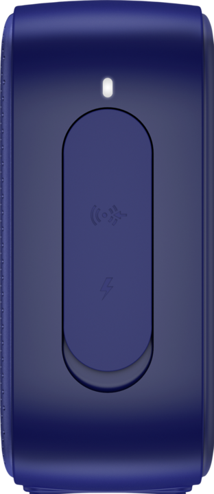 Actual product image HP Bluetooth speaker 350 () (25 h, Battery operated)