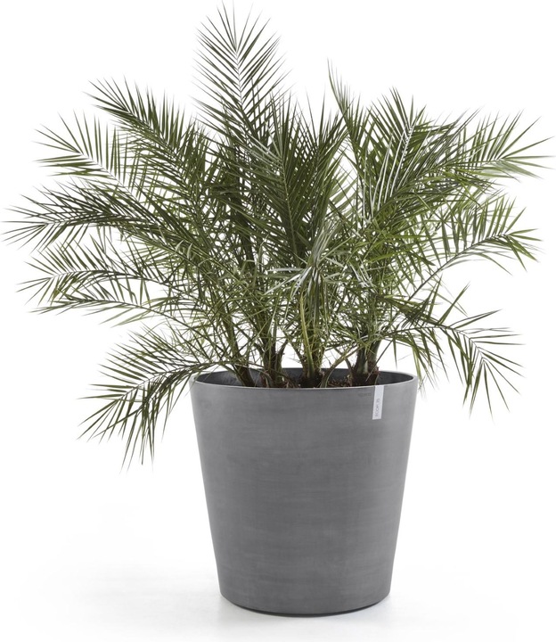 Produktbild Ecopots Amsterdam Wheels (60 cm)