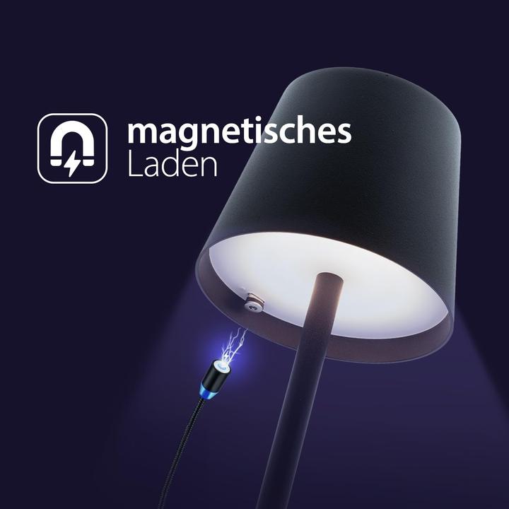 Actual product image Securit FELINE - table lamp