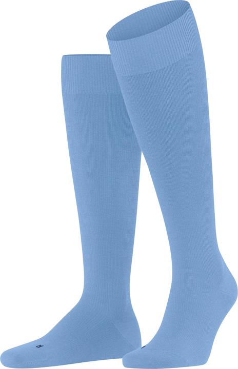 Cornflower blue