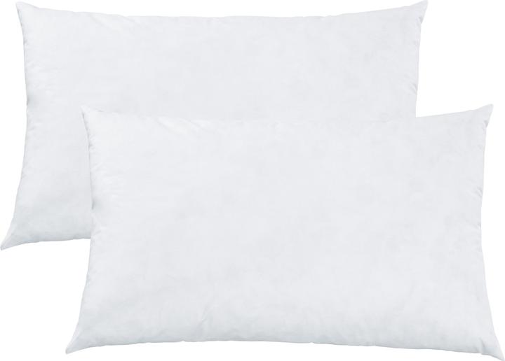 Produktbild Erwin Müller Kissenfüllung 2er-Pack (40 x 60 cm)