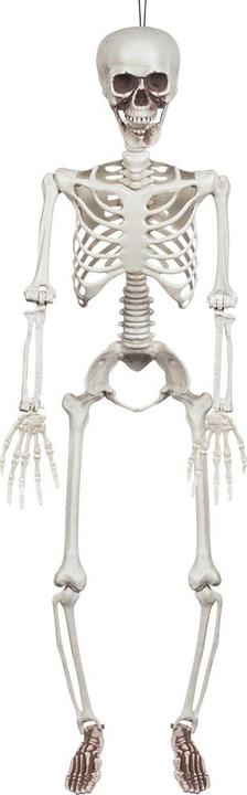 Actual product image Boland Skeleton: Pedro (1 pcs.)