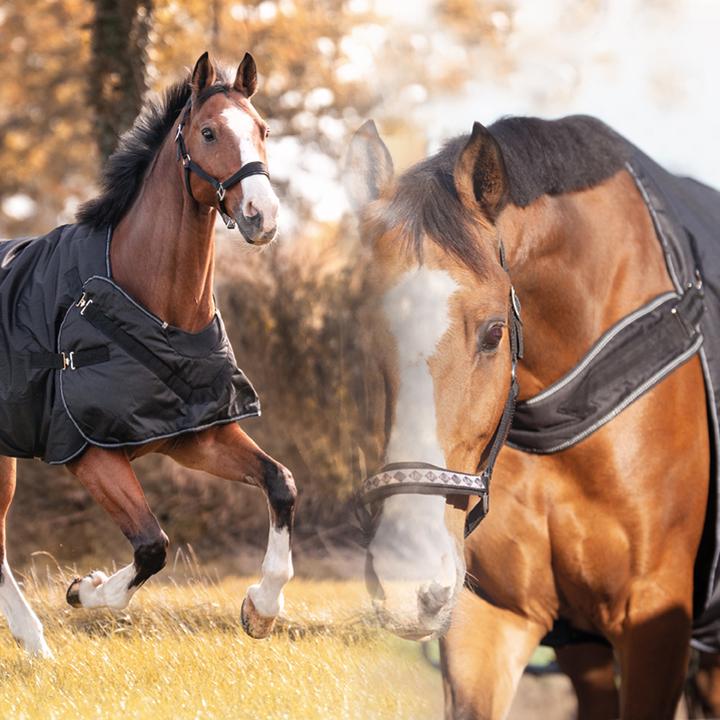 Produktbild Kavalkade Halifax (145 cm)