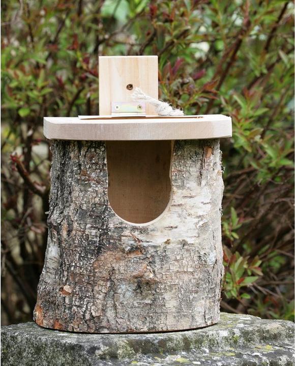 Produktbild Wildlife World Rotkehlchen