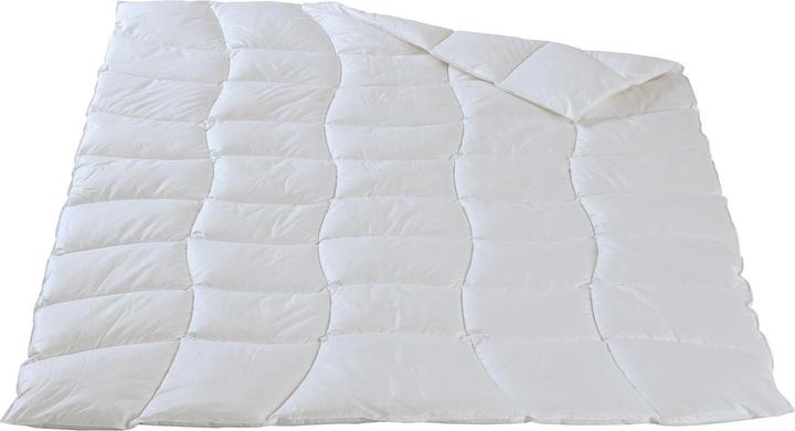 Image du produit DOR Viola (740 g, Duvet, Viscose, 160 x 210 cm)