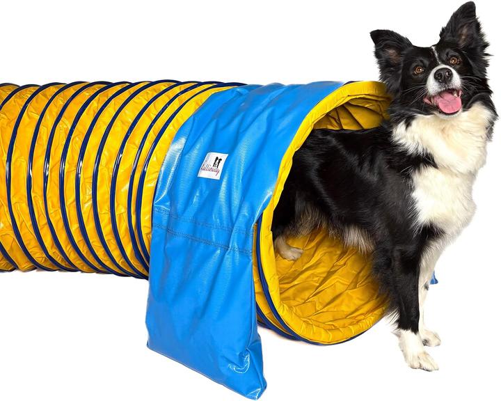 Hondentunnel: 13x de beste agility tunnel van 2026 [Korting