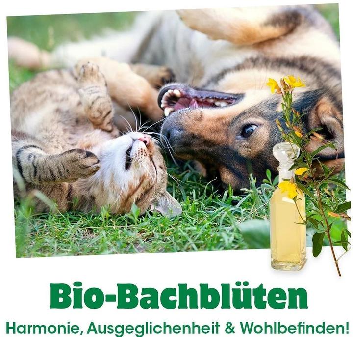 Produktbild cdVet Hunde-Nahrungsergänzung Bio-Bachblüten, Verlassen, 20 ml (Senior, Adult, Junior, 1 Stk., 60 g)
