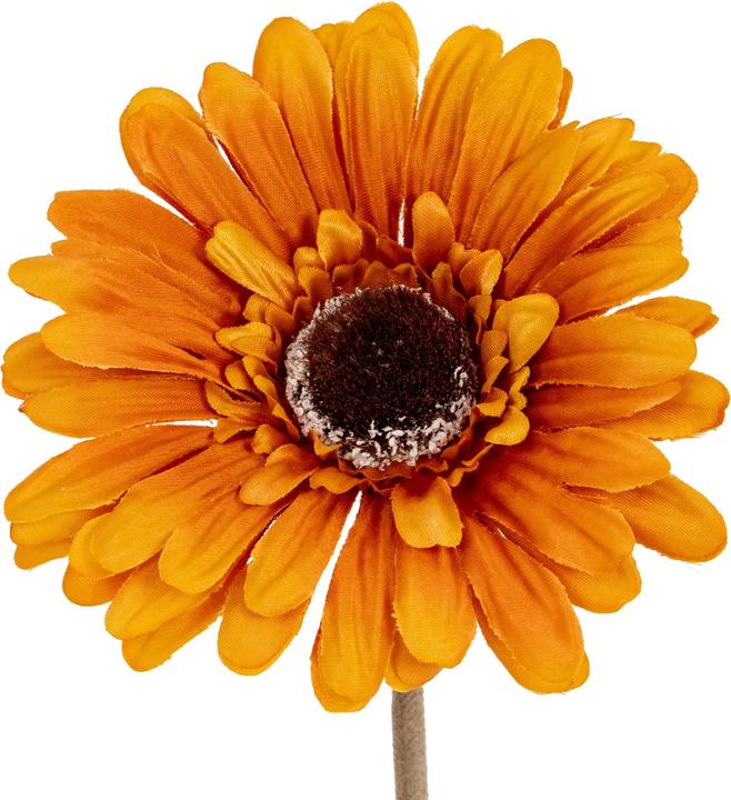 Immagine prodotto Hill Interiors Soffice Gerbera Gerbera Fiore Artificiale (53 cm)