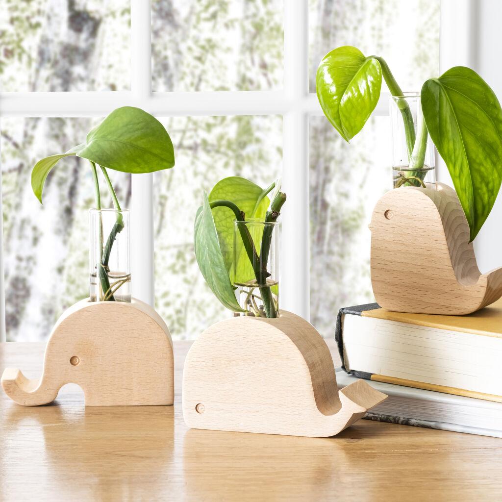 Thumbnail - Kikkerland, Vase, Elephant Propagation Vase (1 x)