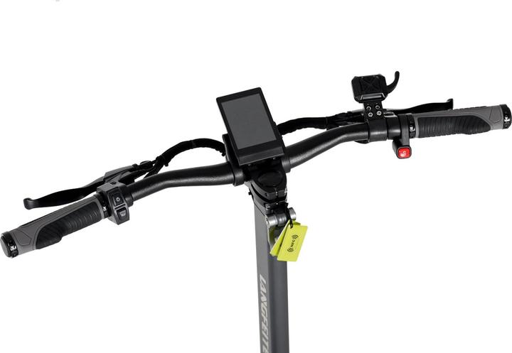 Immagine prodotto Langfeite Swiss Edition (20 km/h, 45 km, 250 W)