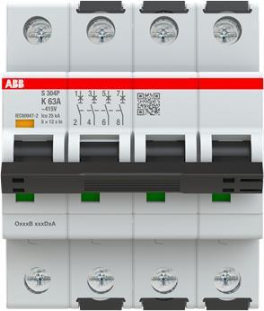 Actual product image ABB S304P-K63