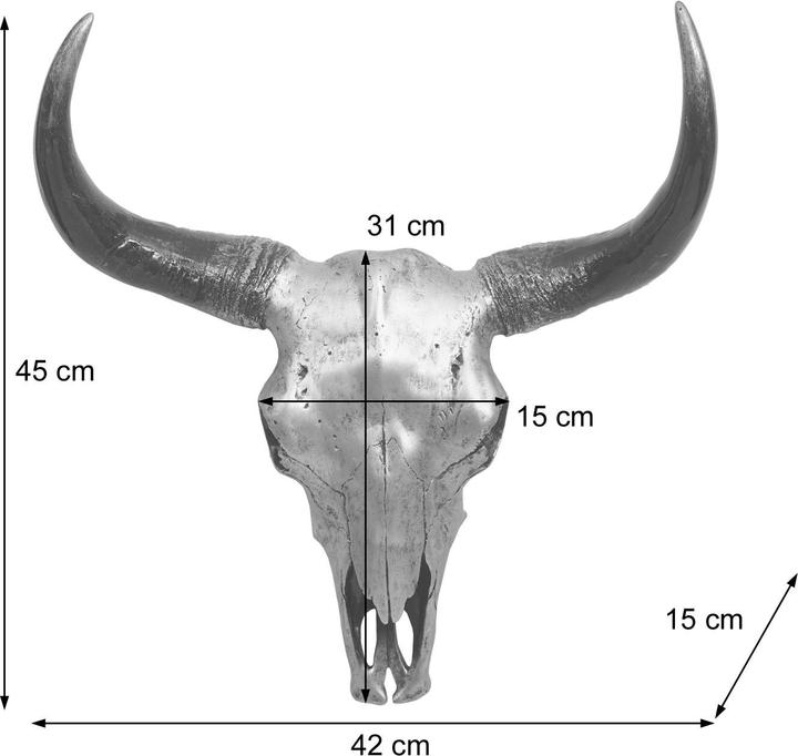 Immagine prodotto Swisshandel24 Teschio di toro