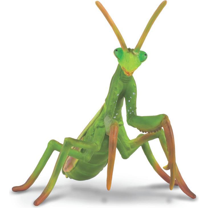 Collecta Sammler-Mantis-Figur (004-88351)