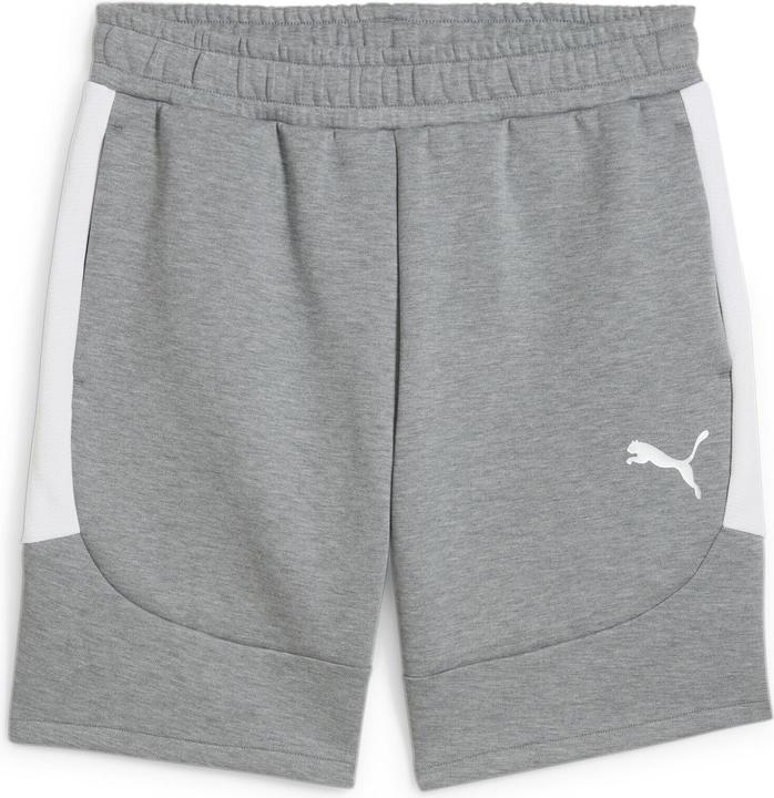 Actual product image Puma teamEVOSTRIPE Shorts (M)
