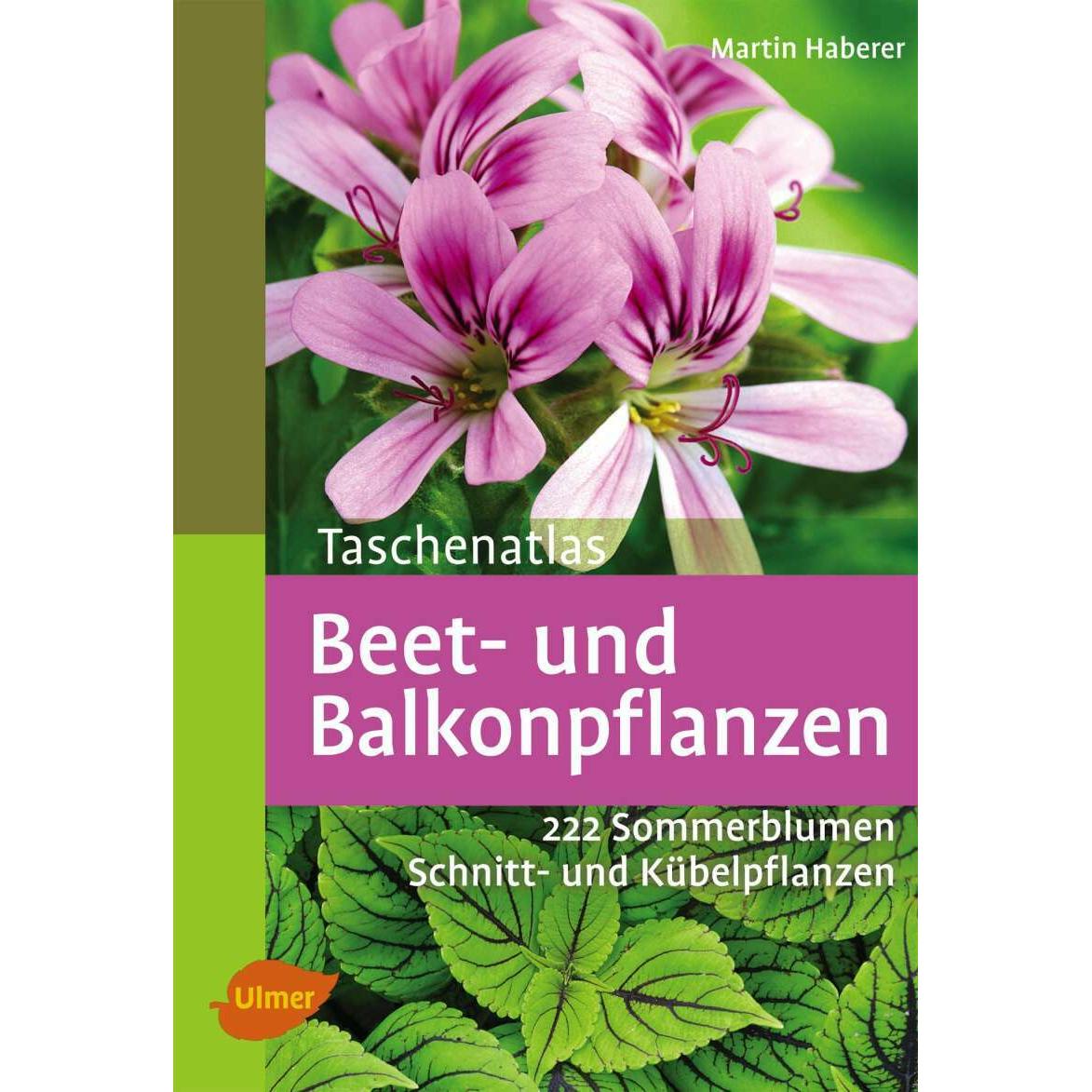Taschenatlas Beet- und Balkonpflanzen, Ratgeber von Martin Haberer