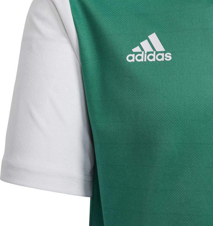 Produktbild adidas Estro 19 Trikot Kinder (164)