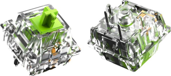 Actual product image Glorious Raptor Standard Switch, mechanical, 5-pin, clicky, MX-Stem, 55g - lubed, 36 pieces