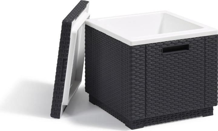 Image du produit Allibert ICE CUBE O/COUSSIN ART. 201309 - ANTHRACITE (40 l)