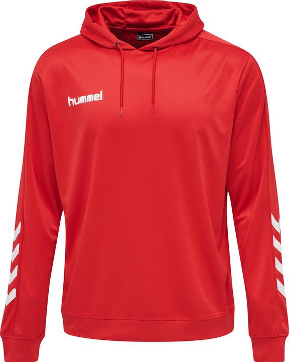 Actual product image hummel Promo Poly Hoodie (M)