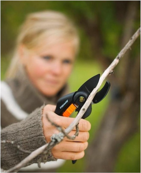 Produktbild Fiskars Gartenschere Amboss SingleStep