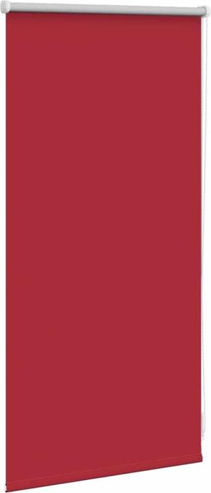 Actual product image VidaXL Rollo (40 x 100 cm)