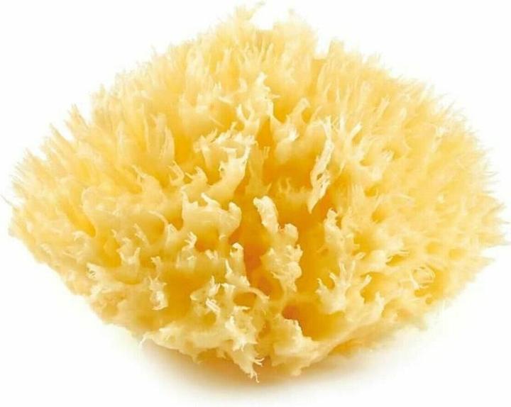 Immagine prodotto Thermobaby Mediterraner Meeresschwamm Honigwabe